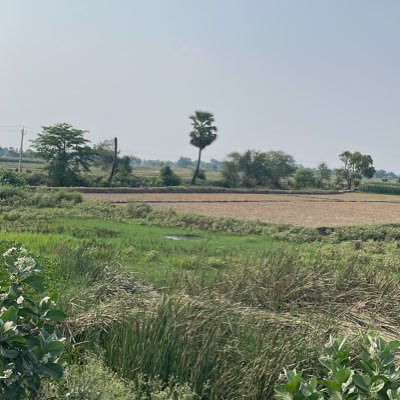 MNCslave's profile picture. Corporate slave since last 20 years