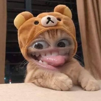 NOINAAAA09's profile picture. 