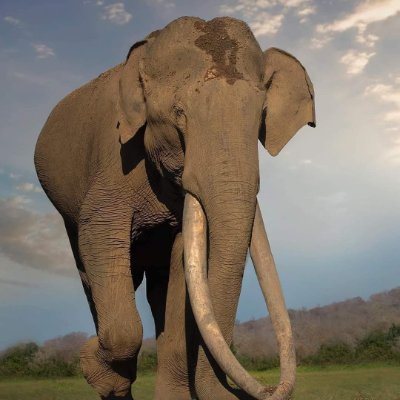 Rajendra2000K's profile picture. 