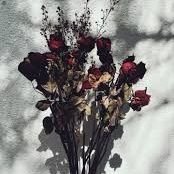 _GarimaS's profile picture. Hardwork•Destiny•Miracles💕