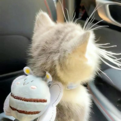 sugarkittycatz's profile picture. # dek69✌🏻 𓈒 ݁⋆ ℳusic cat flower and . . . 🐶🐱𖠵 𖦹 ˙ 𓈒 #DaouOffroad #porteetee #BUS #gmmtv #NexT1DE RW: #kzp_review