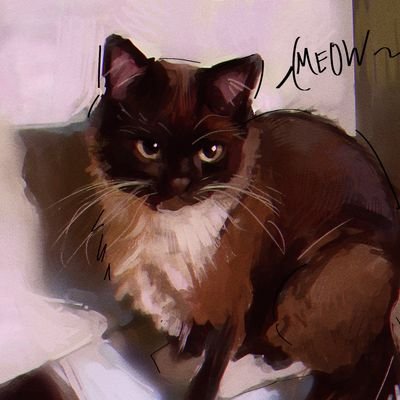 DeZenCh's profile picture. main: @Democrossdc
