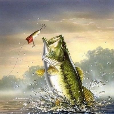 viktorthefisher's profile picture. 