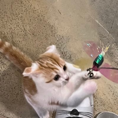 _gleaming0's profile picture. 