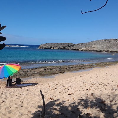 FreddieCol63994's profile picture. 