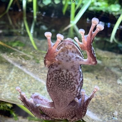 きょへさんのプロフィール画像