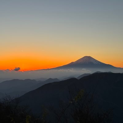 yoyuu5963's profile picture. ハンターネーム：シルヴでモンハンやってます！