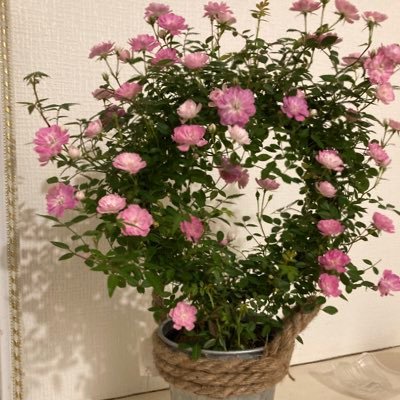 keibaba222's profile picture. 