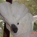 Kathy Bender - @Katt711 - Twitter