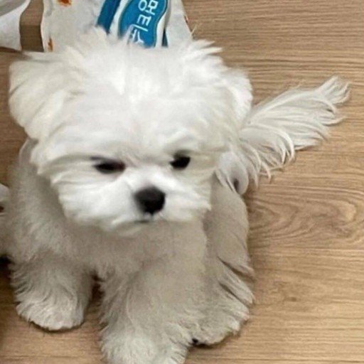 PetraGreen32021's profile picture. Gods determine what you're going to be。