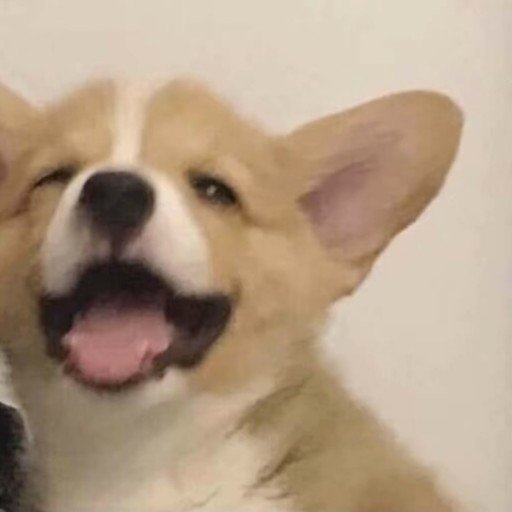 JailynKoze27566's profile picture. Gods determine what you're going to be。