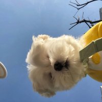πππ (@barrowsott35251) 's Twitter Profile