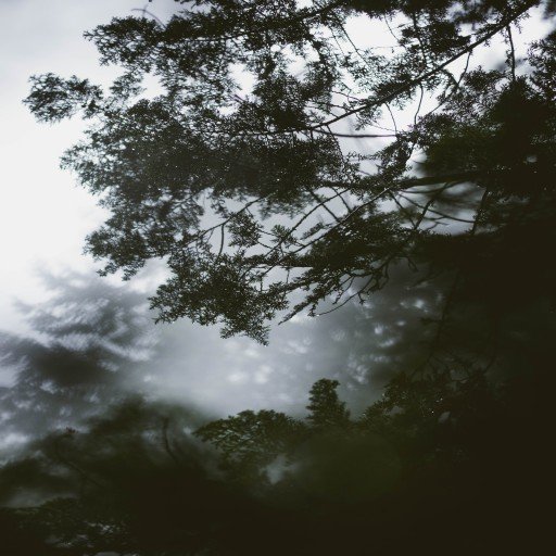 denesik39263's profile picture. Gods determine what you're going to be。