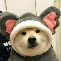 Laura (@kalikeeble74430) 's Twitter Profile