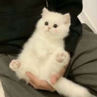 😊😊😊 (@bruensasha46234) 's Twitter Profile