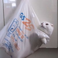 ...ππ (@bartoletti93489) 's Twitter Profile