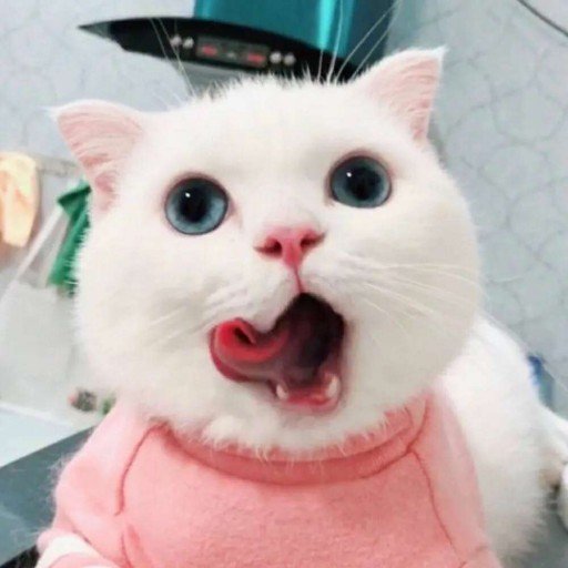 AZboncak71943's profile picture. Gods determine what you're going to be。