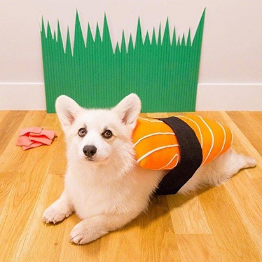 watsica77701's profile picture. Gods determine what you're going to be。