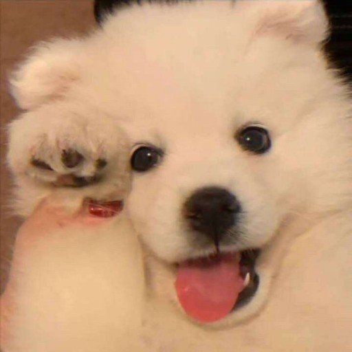 bailey_ric12105's profile picture. Gods determine what you're going to be。