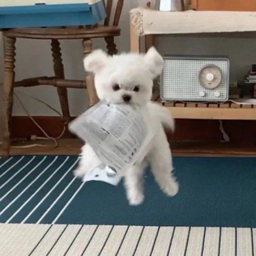 BergstromS3797's profile picture. Gods determine what you're going to be。