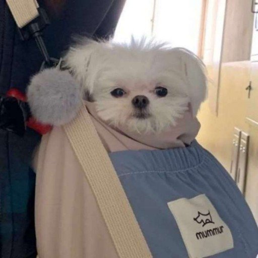 CalebBoehm47989's profile picture. Gods determine what you're going to be。