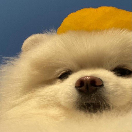 ZDibbert23336's profile picture. Gods determine what you're going to be。