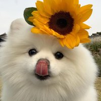 🙌🙌❤️ (@arvidturne15000) 's Twitter Profile