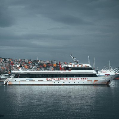 Maisie1386366's profile picture. 