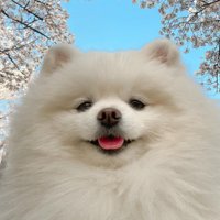 😳 (@stoltenber60949) 's Twitter Profile