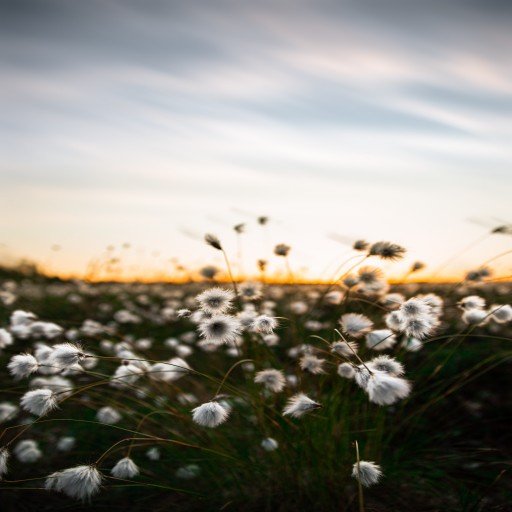 BKihn21888's profile picture. Gods determine what you're going to be。