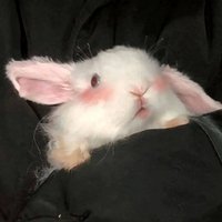 😊😊😊 (@dubuquejef65636) 's Twitter Profile