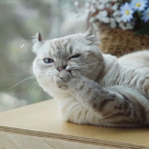 ParkerWinn29128's profile picture. Gods determine what you're going to be。