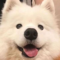 🙌🙌❤️ (@bergstroms26160) 's Twitter Profile