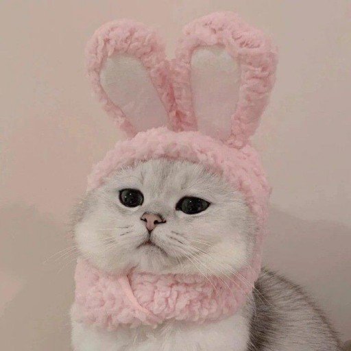 JayneD89597's profile picture. Gods determine what you're going to be。