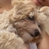 🧐 (@noluyoruzzyaa) Twitter profile photo