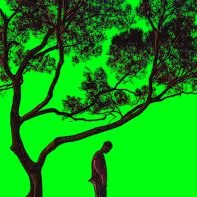 Simons201's profile picture. Bitcoin itself has been on my mental radar since the fall of Mt Gox in 2011. I started to really learn in depth about Cryptocurrency in early 2017.