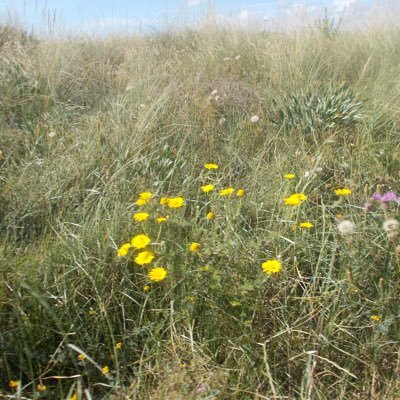 blo0mbading's profile picture. ✈️🌊🏳️‍🌈