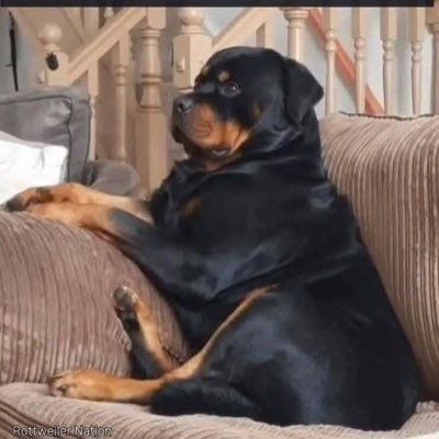 TD4hire's profile picture. 