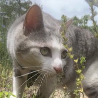 UMQ (@z66wpapvbv83799) 's Twitter Profile