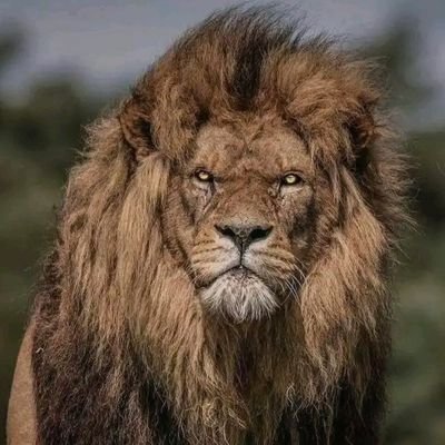 PaglanB's profile picture. 🙏God my savior🙏//
😇I have no life without Jesus Christ😇//
👐I live to worship Jesus👐//
🔥In the name of Jesus🔥