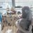 cutety_fun's profile image