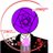 paap_rose