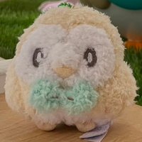 かど (@cad_pkmn_bsk) 's Twitter Profile