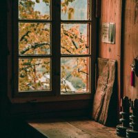 بشرى 🦌 (@_busshhra) Twitter profile photo