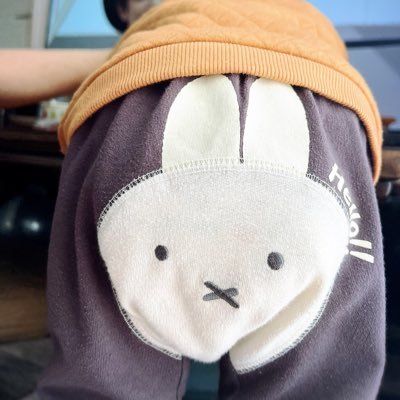 実家にいる愛犬もち🐶イカたこ戦隊のくりりんです🦑白柴ラブ🫶 愛犬のスタンプ発売中🐶ོhttps://t.co/b55DrQFb2Z