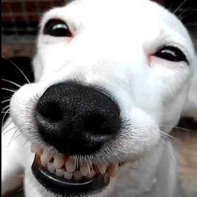 4tdAX6mLVs10168's profile picture. 自転車こいで近くのスーパーに買い物行くのが、半分趣味です。