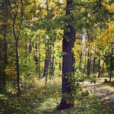 AndersLind66369's profile picture. 