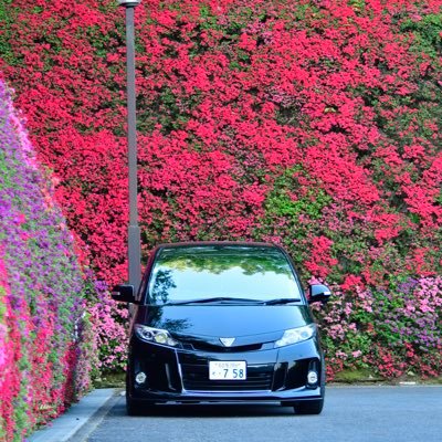 3Acr50's profile picture. JAPAN,AICHI🇯🇵/ESTIMA/ACR50W 車好きにして写真好き。洗車も趣味です。 愛機はNikonのD7500📸(2023/07/11～) 秋には富士山方面へ車中泊に行くのが楽しみ🍁🍂