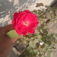 Giriraj Rajput (@rajput12356) 's Twitter Profile Photo Giriraj Rajput (@rajput12356) 's Twitter Profile Photo