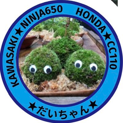 dai_chan_929's profile picture. 自動二輪免許が欲しくて始めたアカウント。 教習日記。ツーリング日記。バイク関連備忘録。時々日常📝 🗻富士山大好き😘 #Ninja650 #クロスカブ110 (くまモンver.) #バイクBBA #低身長ライダー #能登応援 . #富士山 #昭和の人 #JBRIDERS